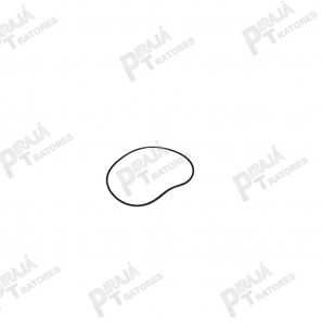 11989822 - ANEL