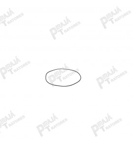 11989824 - ANEL