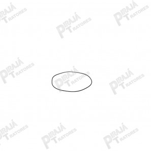 11989824 - ANEL