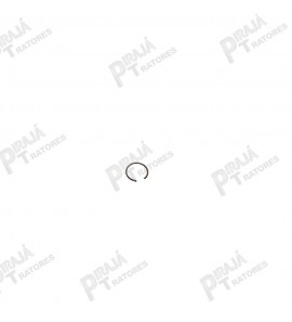 14506922 - ANEL