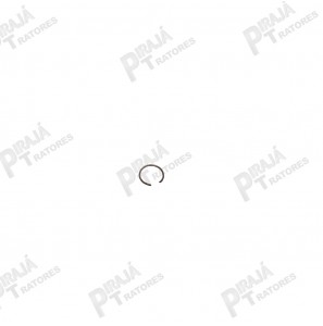 14506922 - ANEL
